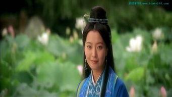 美丽的神话视频,探寻古老传说中的视觉奇观