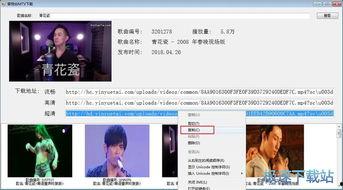 视频mtv,动感旋律与视觉盛宴的完美融合