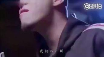 我们不一样 视频,探寻多元人生与独特价值观的共鸣