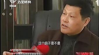 信哥视频,揭秘科技前沿与生活智慧