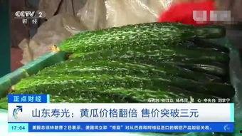 山东寿光今日瓜价,新鲜直供，价格行情一览