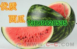 山东寿光今日瓜价,新鲜直供，价格行情一览