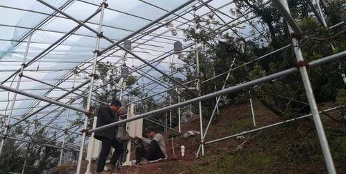 安装大棚视频,视频教程详解