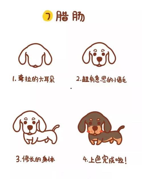 小狗简笔画视频,轻松绘制可爱小狗简笔画