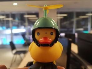 小黄鸭视频网站,轻松畅享娱乐盛宴的云端乐园