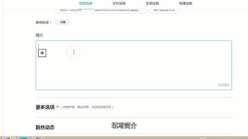 视频标签怎么写,探索内容概述的奥秘