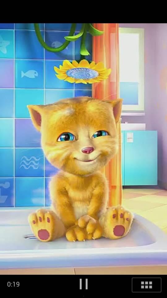 会说话的猫视频,揭秘会说话的猫的神奇魅力