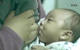 哺乳 视频,视频揭秘哺乳动物的生活奥秘