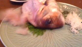 吃生鱼片视频,视频揭秘制作与品尝技巧
