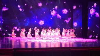 国际舞蹈视频,国际舞蹈视频的魅力与风采