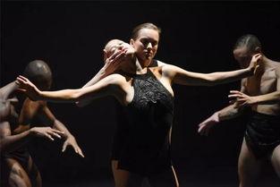 国际舞蹈视频,国际舞蹈视频的魅力与风采