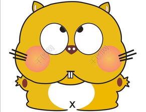 画老鼠视频,视频捕捉趣味瞬间