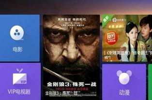 鲨鱼视频播放,探索海洋奥秘，畅享视听盛宴