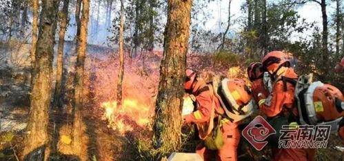 森林火灾视频,火势蔓延，救援行动紧张进行