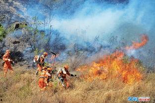 森林火灾视频,火势蔓延，救援行动紧张进行