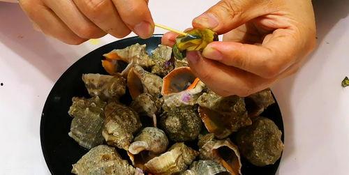 海螺正确吃法视频,视频揭秘海螺的正确吃法