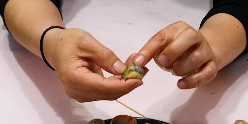 海螺正确吃法视频,视频揭秘海螺的正确吃法