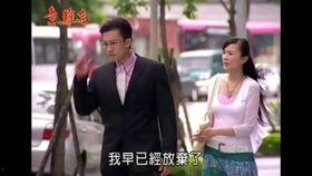 意难忘视频,穿越时空的浪漫邂逅