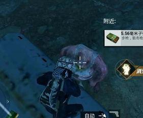 暗夜吃瓜爆料,揭秘娱乐圈不为人知的幕后故事