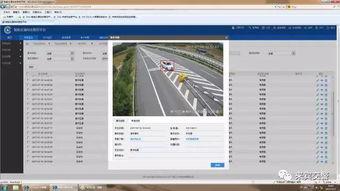 视频监测,洞察城市安全与效率新篇章