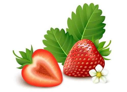 水果视频观看,缤纷果香，尽享视觉盛宴