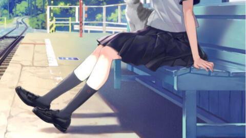 夏季视频,探寻夏季魅力瞬间