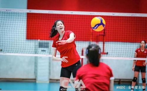 女排训练视频,揭秘她们的拼搏之路