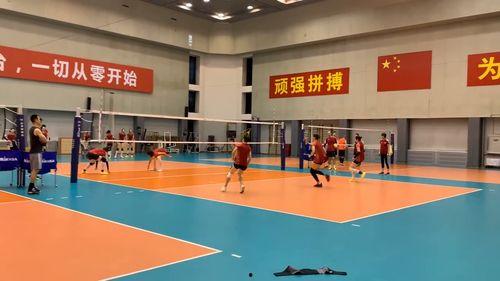 女排训练视频,揭秘她们的拼搏之路