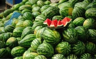 吃黑瓜网怎么进2024