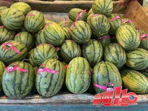 吃黑瓜网怎么进2024