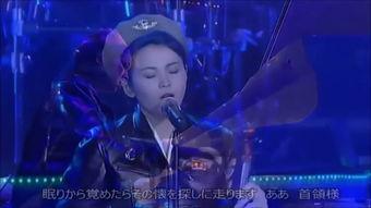 日日夜夜免费观看视频,揭秘热门视频平台免费观看秘籍