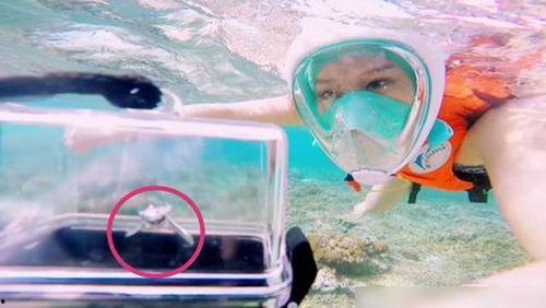 好多水视频,好多水视频深度解析