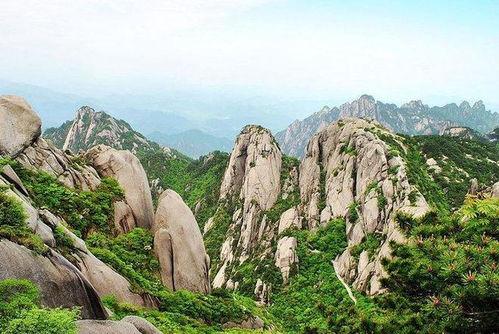 黄山介绍视频,奇松怪石，云海仙境的绝美画卷