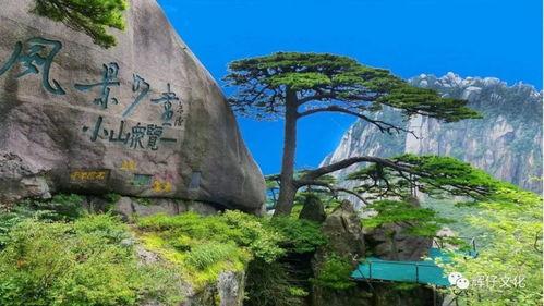 黄山介绍视频,奇松怪石，云海仙境的绝美画卷