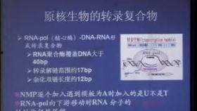 生物化学视频,生物化学视频深度解析