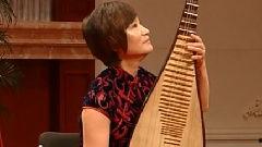 琵琶弹奏视频,穿越时空的旋律演绎