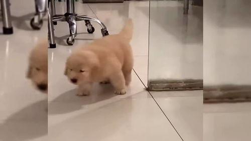 骑马搞笑视频,搞笑骑马视频集锦