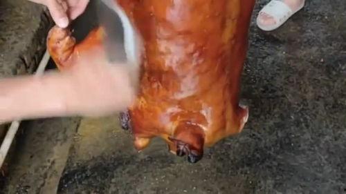 烤乳猪视频