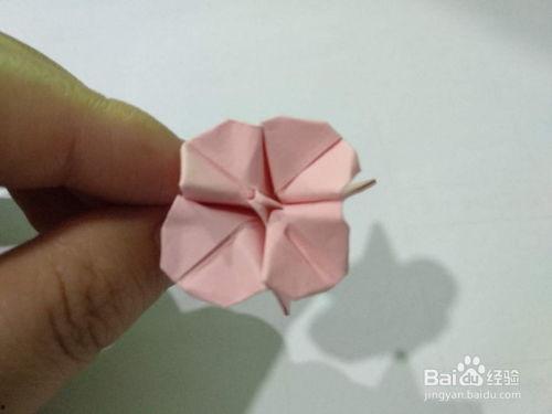 花的折法视频,跟随视频学习花艺折法之美