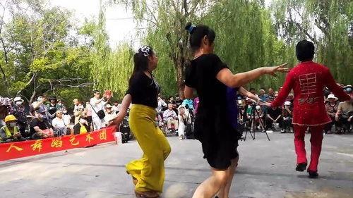 斗鸡舞视频,激情四溢的传统舞蹈魅力展现