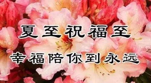 问候小视频,一瞬间的温暖与感动