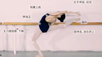 舞蹈的基本功视频,解锁舞蹈魅力，掌握舞动灵魂