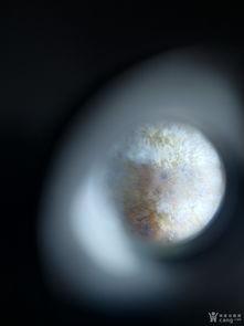 至纯老天珠视频讲解,传承千年的神秘力量