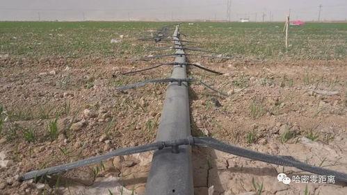 播种小麦视频,春耕时节的田野画卷