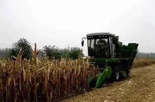 播种小麦视频,春耕时节的田野画卷