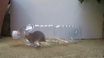 综合久久视频,全方位内容盛宴，尽享视听盛宴