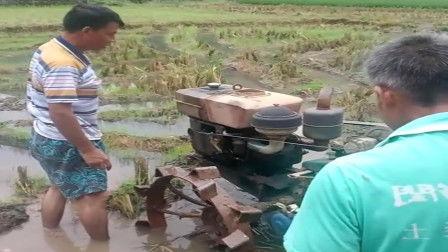 耕田视频,探寻传统农耕文化的魅力与传承