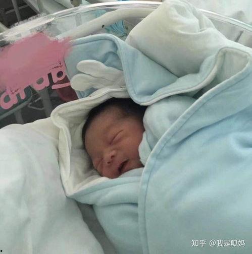 新生儿出生视频,见证生命的奇迹