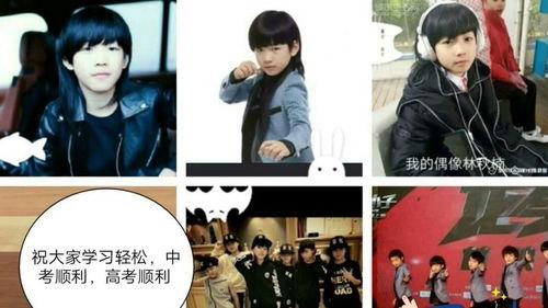 林秋楠视频,揭秘生活智慧与人生哲理