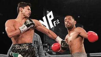 拳击手视频,揭秘拳击手精彩对决瞬间